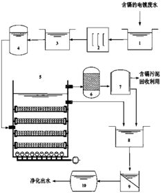 電鍍污水基礎(chǔ)知識