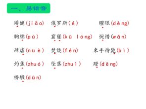 人教版四年級(jí)上冊(cè)語(yǔ)文基礎(chǔ)知識(shí),人教版五年級(jí)下冊(cè)語(yǔ)文基礎(chǔ)知識(shí)歸納,人教版四年級(jí)上冊(cè)語(yǔ)文基礎(chǔ)知識(shí)專(zhuān)項(xiàng)