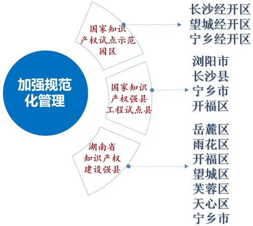 模版,知識產(chǎn)權(quán),優(yōu)勢,基礎(chǔ)