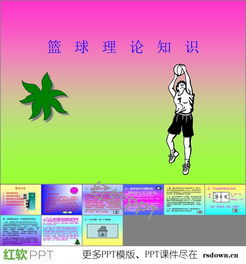 小學(xué)籃球基礎(chǔ)知識(shí)課件