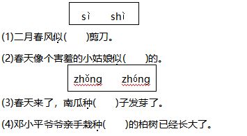 基礎(chǔ)知識,訓(xùn)練