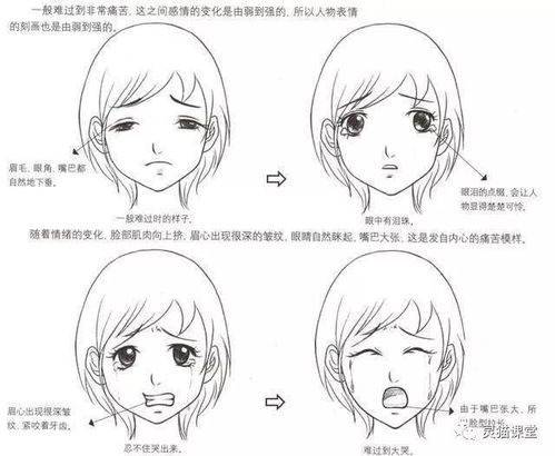 面部畫法基礎知識
