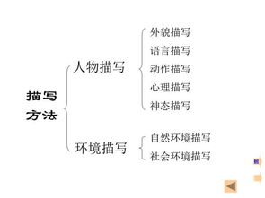 初中語(yǔ)文閱讀與寫(xiě)作基礎知識
