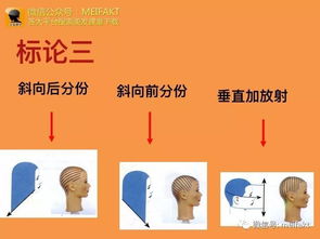 燙發(fā)原理基礎(chǔ)知識(shí),剪發(fā)理論基礎(chǔ)知識(shí),汽車原理基礎(chǔ)知識(shí)