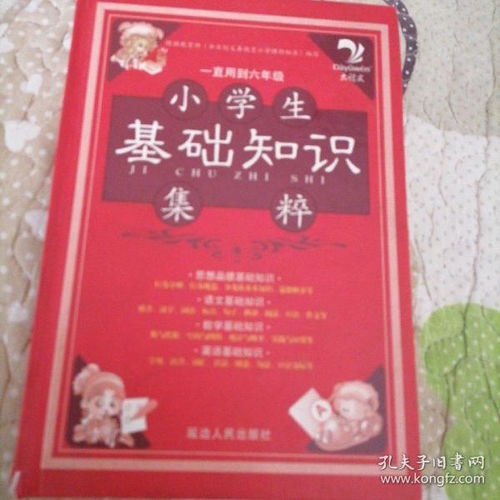 小學(xué)生隊員基礎(chǔ)知識
