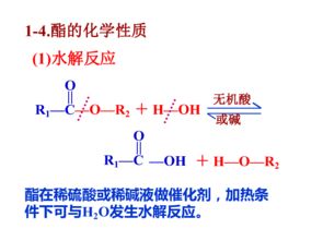 上海高二有機(jī)化學(xué)基礎(chǔ)知識(shí)
