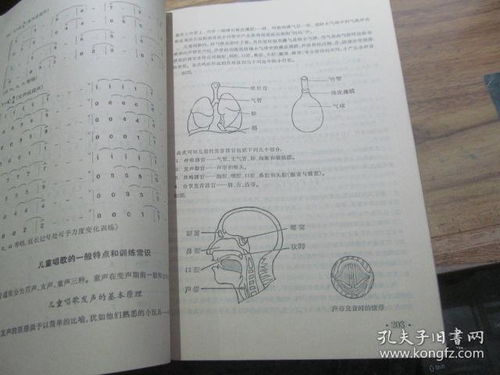音樂(lè )基礎知識自學(xué)