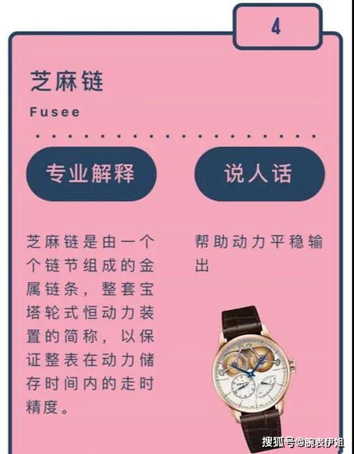 手表基礎(chǔ)知識(shí)_百度文庫(kù)