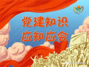 基礎(chǔ)知識,應(yīng)知,新黨