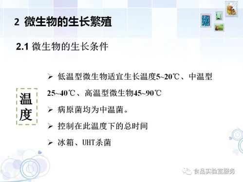 微生物,基礎(chǔ)知識,檢測,食品
