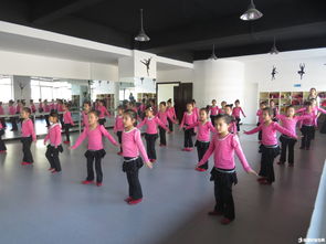 幼兒舞蹈教學(xué)基礎(chǔ)知識