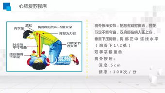 常規(guī)急救基礎(chǔ)知識(shí),急救基礎(chǔ)知識(shí)考試試題,中學(xué)生急救基礎(chǔ)知識(shí)