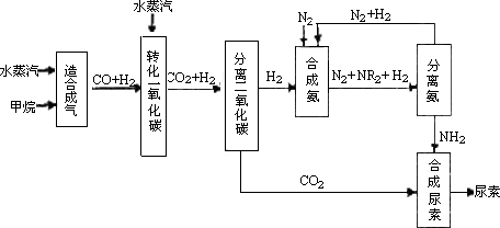 靈活運用基礎知識的能力差
