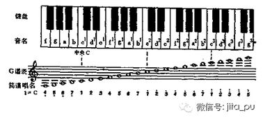 樂譜基礎(chǔ)知識低音