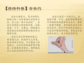 中醫(yī)通經(jīng)絡的基礎知識