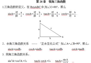 銳角,基礎(chǔ)知識,函數(shù),回顧