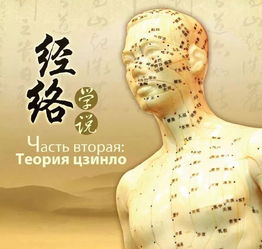 十二經(jīng)絡(luò)的基礎(chǔ)知識和調(diào)理