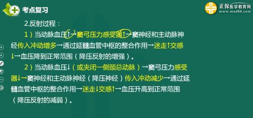 心腦血管基礎知識問(wèn)答