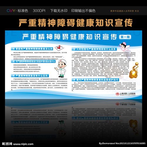 嚴(yán)重精神障礙基礎(chǔ)知識(shí)培訓(xùn)資料