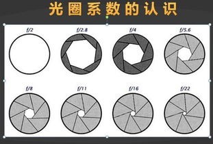 光圈的基礎(chǔ)知識(shí)
