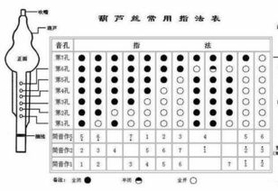 葫蘆絲初學(xué)基礎(chǔ)知識(shí)