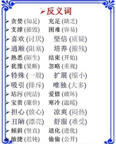 小學(xué)語文基礎(chǔ)知識(shí)反義詞