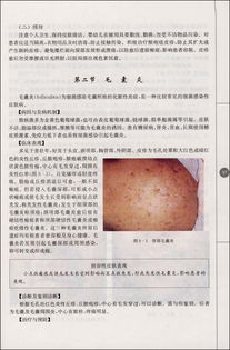 皮膚美容科學基礎(chǔ)知識