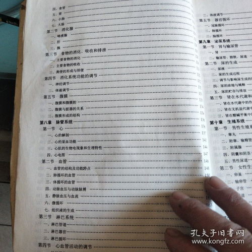 正常人人體基礎(chǔ)知識點