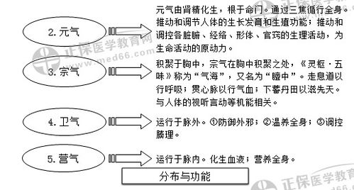專業(yè)基礎(chǔ)理論和基本知識水平