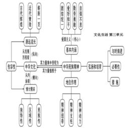 高中政治基礎(chǔ)知識匯總,高中政治基礎(chǔ)知識填空,怎樣夯實語文基礎(chǔ)知識