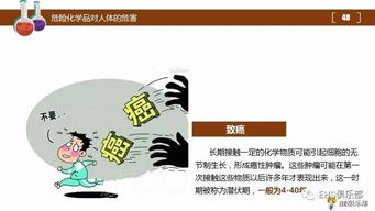 醫(yī)院?；坊A(chǔ)知識(shí)培訓(xùn)ppt