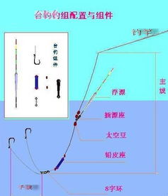 釣魚什么是基礎(chǔ)知識(shí)
