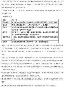 化學選修5基礎(chǔ)知識