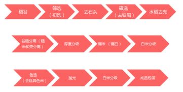 粳米基礎(chǔ)知識講座
