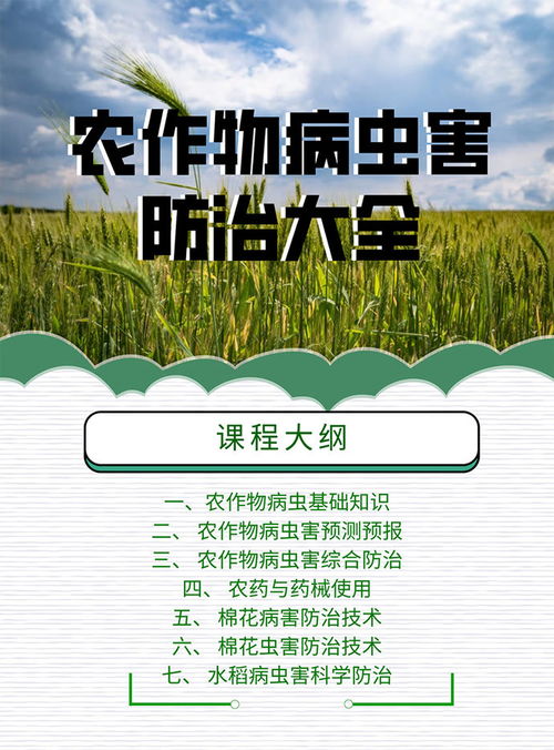 農(nóng)作物害蟲基礎知識