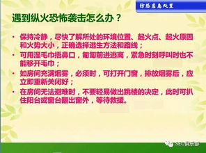 反恐防恐基礎(chǔ)知識