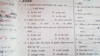 初2英語基礎知識點