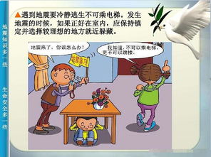 地震安全基礎(chǔ)知識(shí)