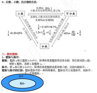 基礎(chǔ)知識,檢測,小升初