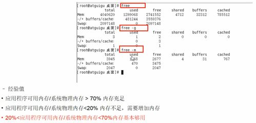 保育員基礎(chǔ)知識100題,少先隊基礎(chǔ)知識100題,眼科基礎(chǔ)知識100題