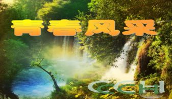 基礎(chǔ)知識(shí),搭配,色彩,服裝