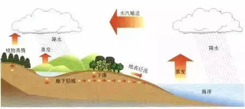 夯實(shí)基礎(chǔ)就是注重學(xué)生基礎(chǔ)知識(shí)