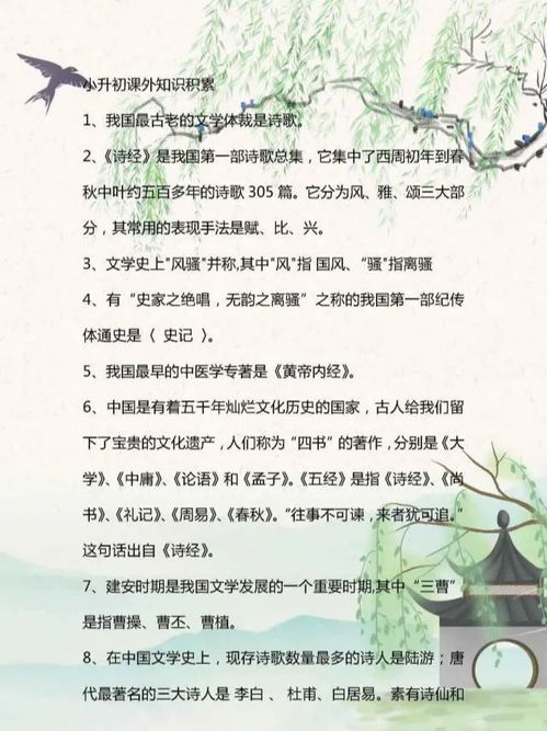 小升初語文基礎(chǔ)知識積累
