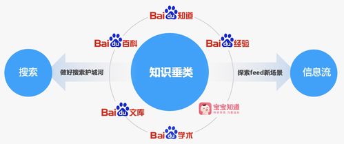 少先隊,專業(yè)知識,基礎(chǔ)