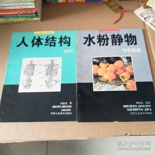 美術(shù)基礎(chǔ)知識(shí)書