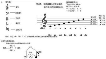 音樂(lè)基礎(chǔ)知識(shí)初級(jí)怎樣識(shí)譜