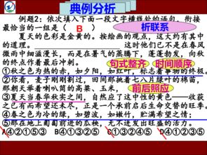銜接,語(yǔ)句,基礎(chǔ)知識(shí),排序
