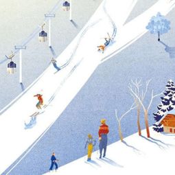 滑雪運動(dòng)基礎知識