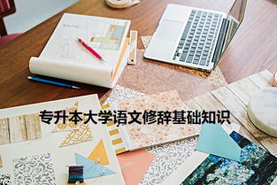 廣西,專升本,基礎知識,語文