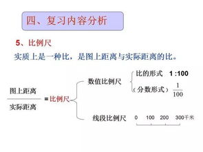 基礎(chǔ)知識,比例